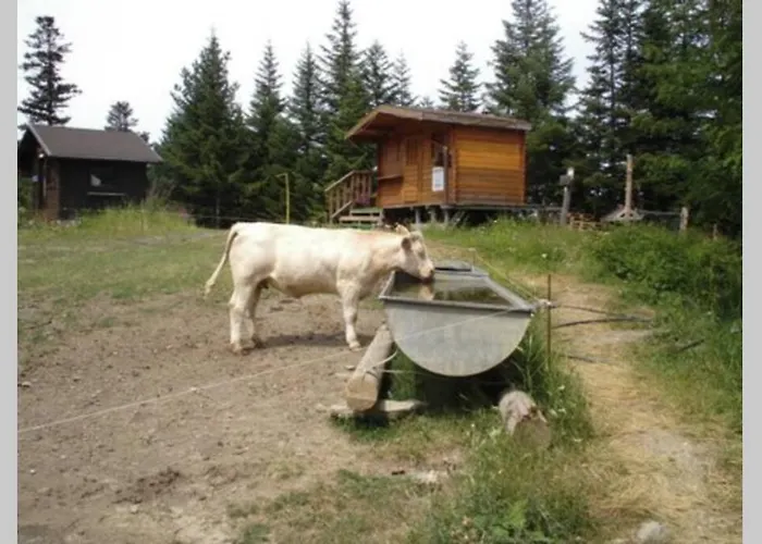 Dans Station De Aux Pieds Des Pistes