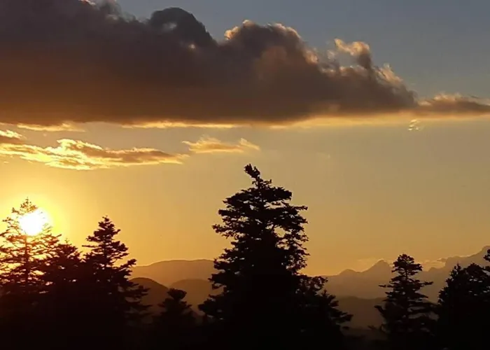 Apartment Dans Station De Aux Pieds Des Pistes
